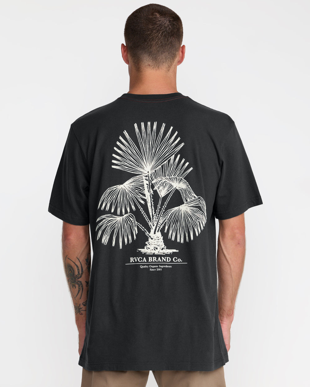 Soil Co Short Sleeve Tee - Pirate Black